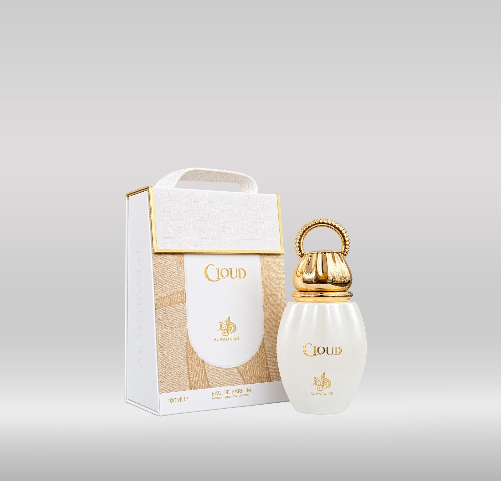 AL WATANIAH PERFUME 100ML - CLOUD 1X48