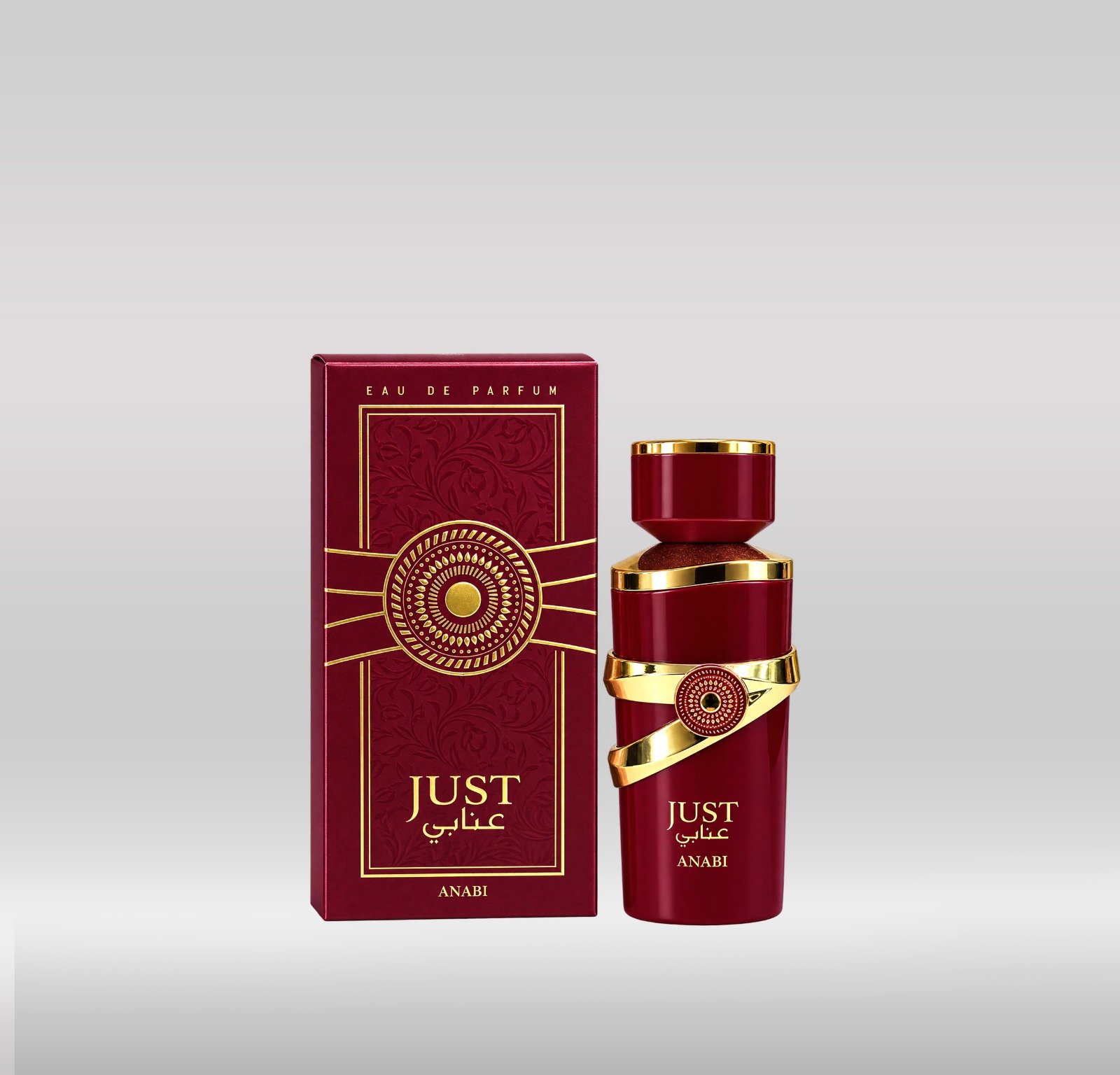 JUST ANABI PERFUME 100ML - 1X96
