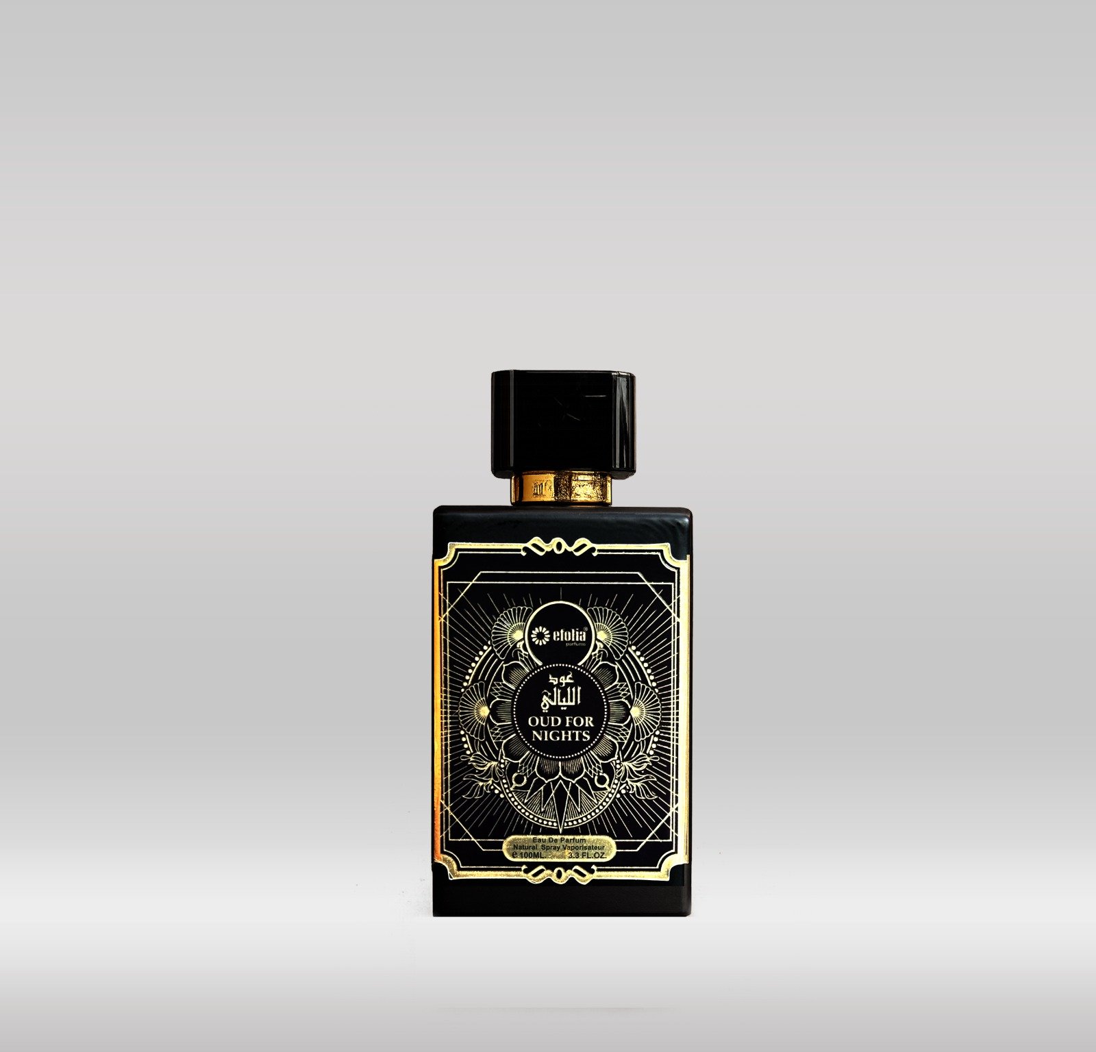 OUD FOR NIGHT PERFUME 100ML 1X48